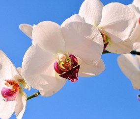 烟台正规助孕捐卵机构，附正规捐卵机构报名表！